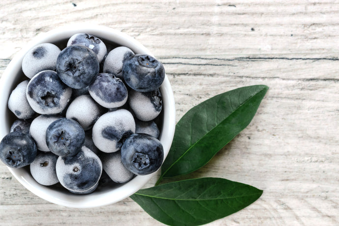 Frozen Blueberry Collagen Yogurt Bites