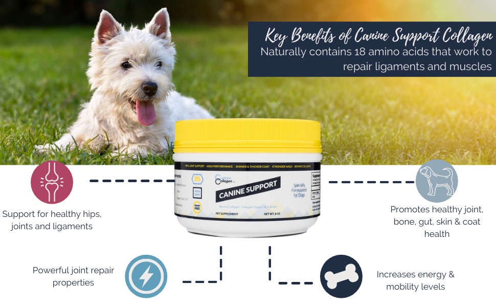 Joint Supplement For Dogs