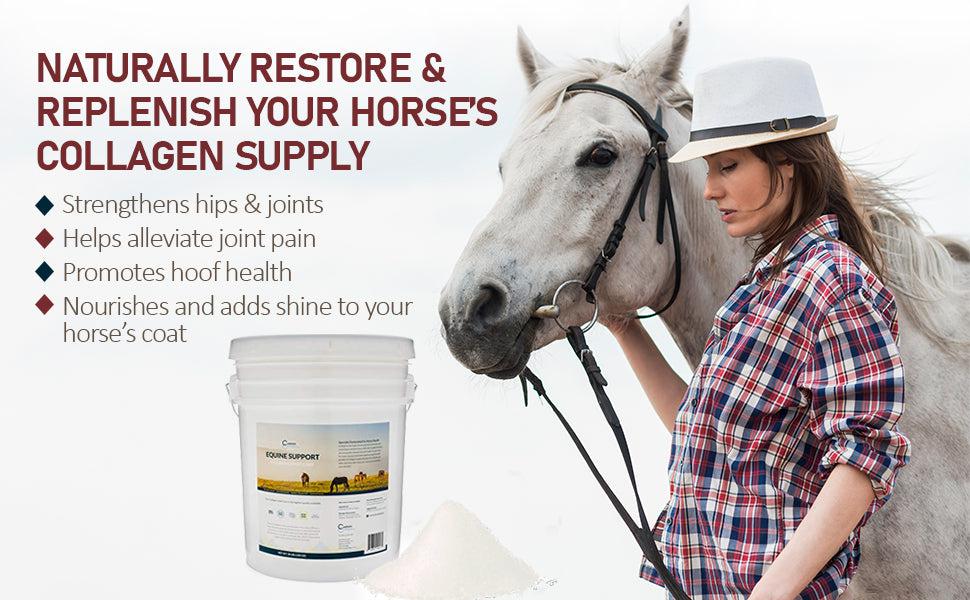 Joint Care For Horses