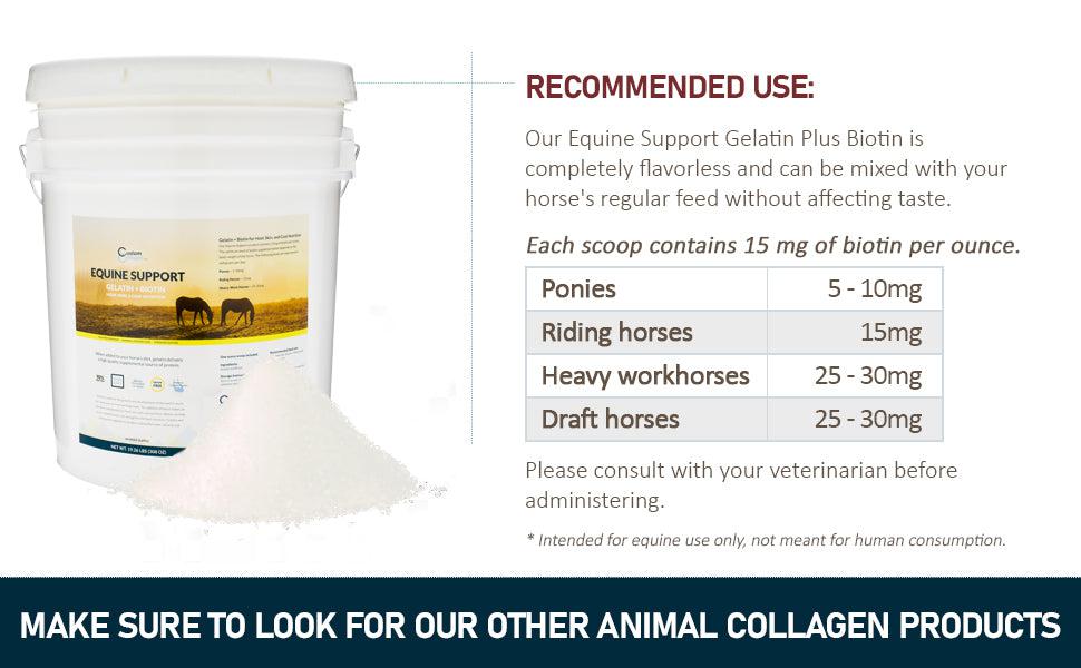 Gelatin + Biotin for Horses